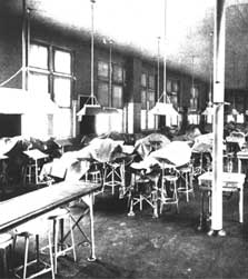 The Dissecting Room, Daniel Baugh Institute of Anatomy